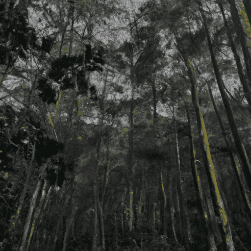 Kenali Gejala Keputihan yang Perlu Diwaspadai dan Penanganannya